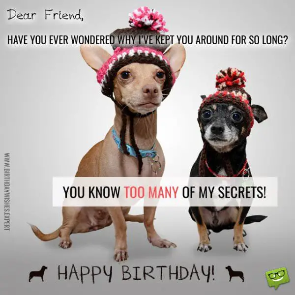 Funny Birthday Wishes for your Family & Friends