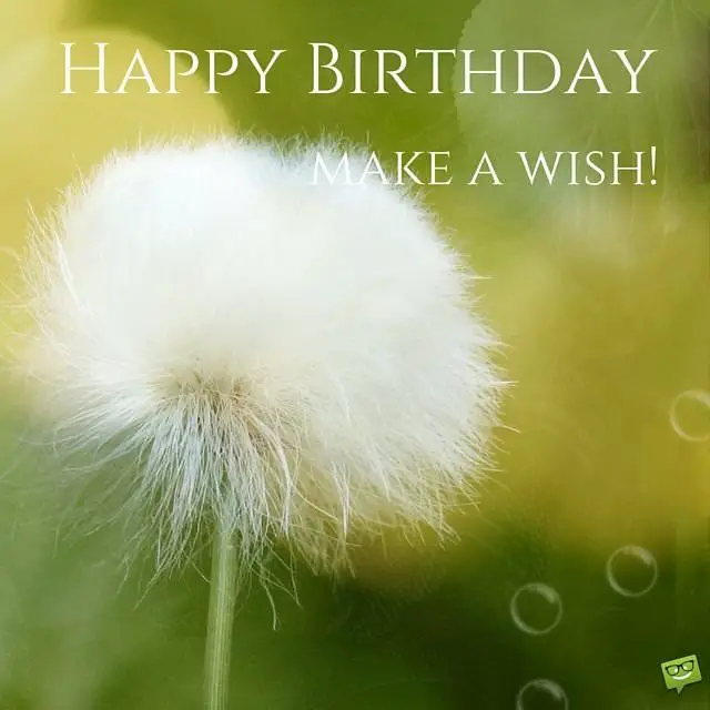 My Image 17