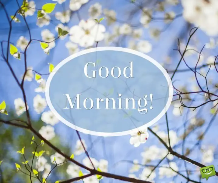 英文morning唯美图片,早上好goodmorning图片 a wish for the new day : good morning!