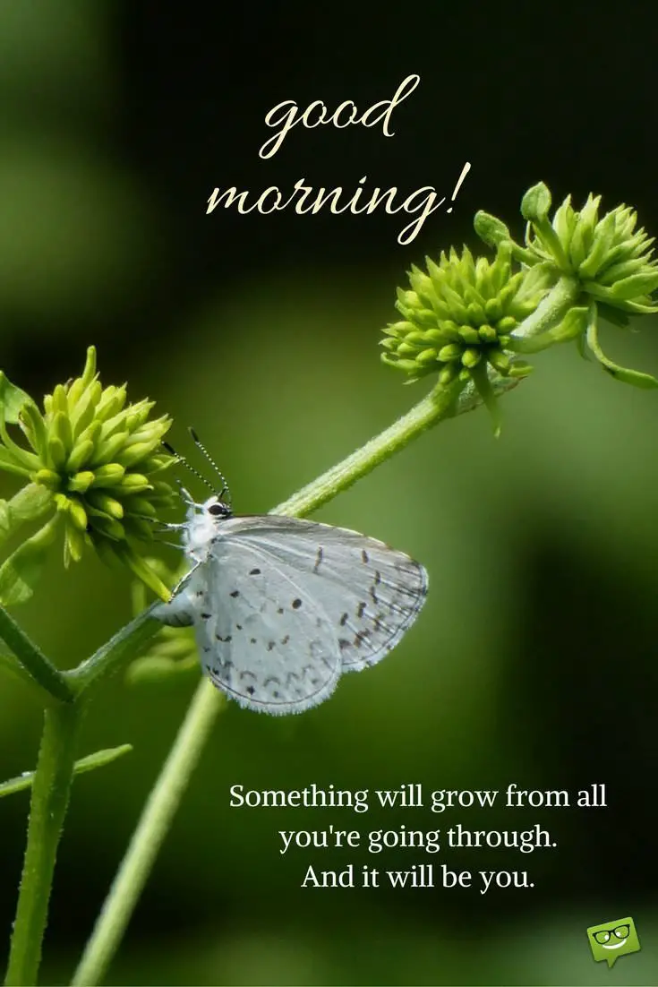 Fresh Inspirational Good Morning Quotes for the Day - Part 2