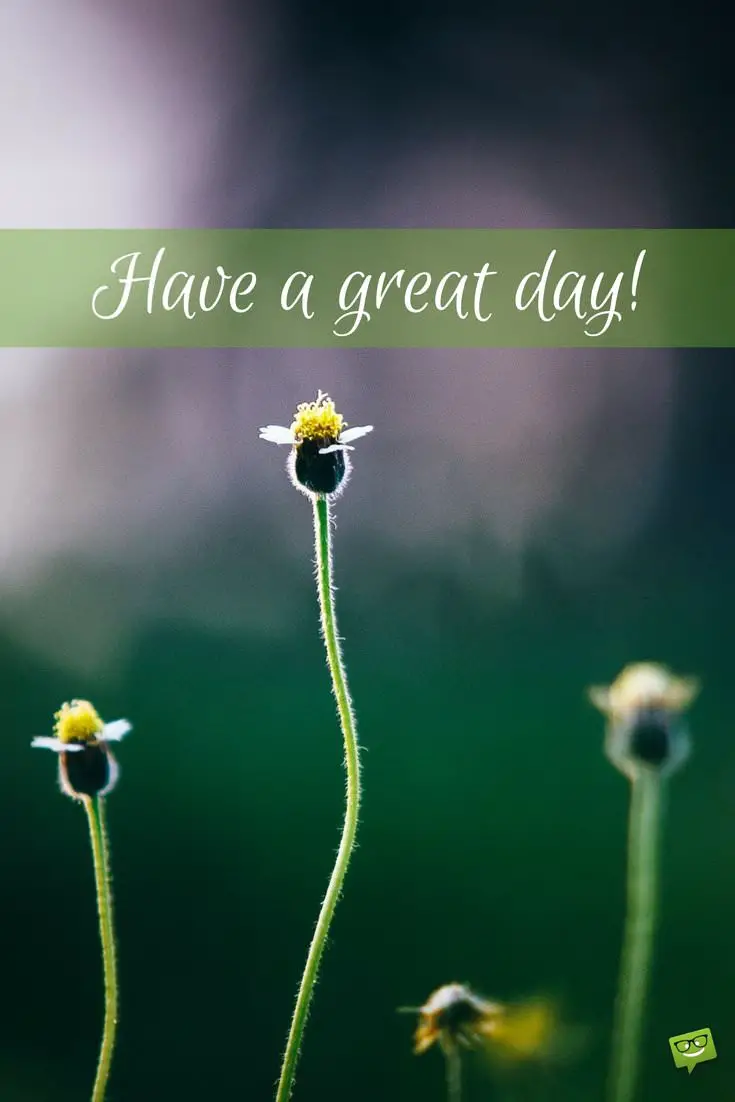 Fresh Inspirational Good Morning Quotes for the Day - Part 2