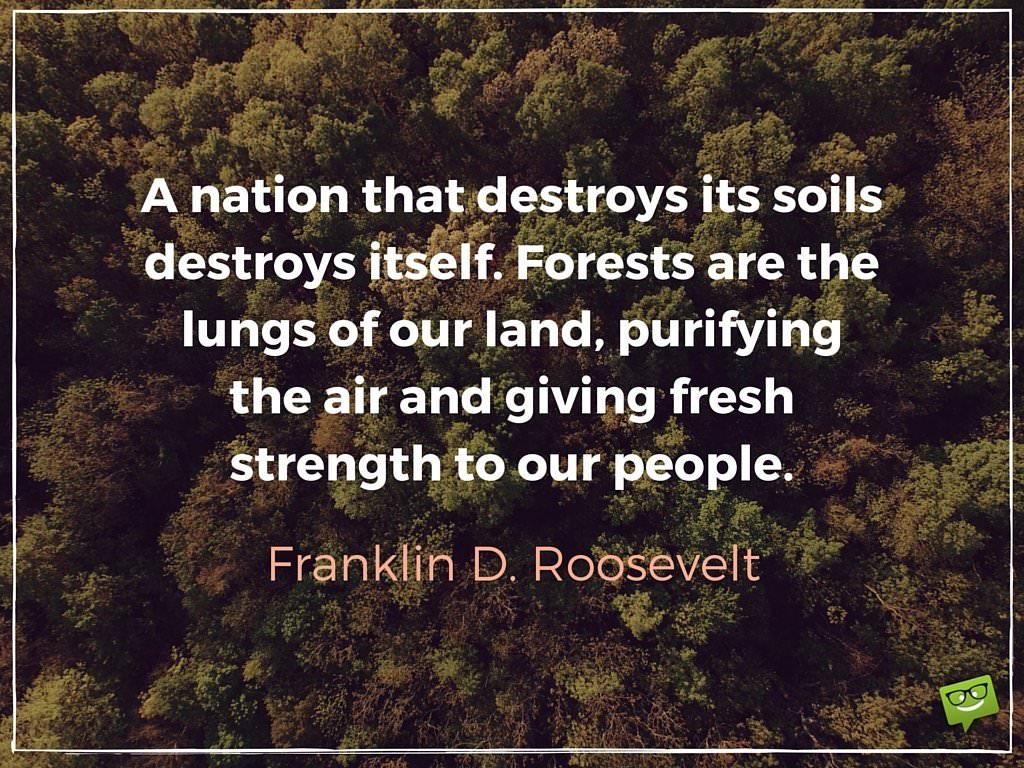 50 Insightful Famous Quotes about the Environment