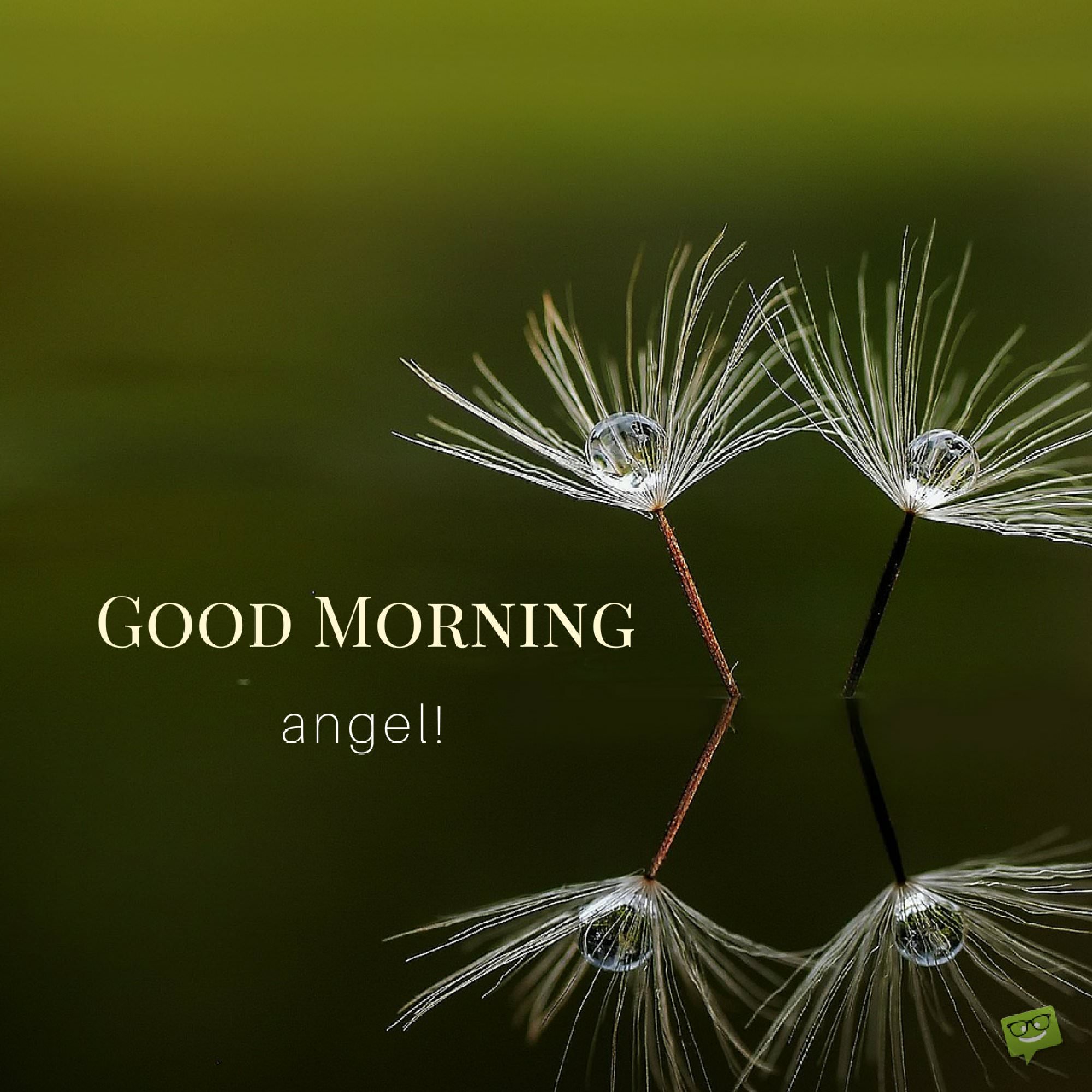 24 of the Most Popular Good Morning Quotes For Your Love