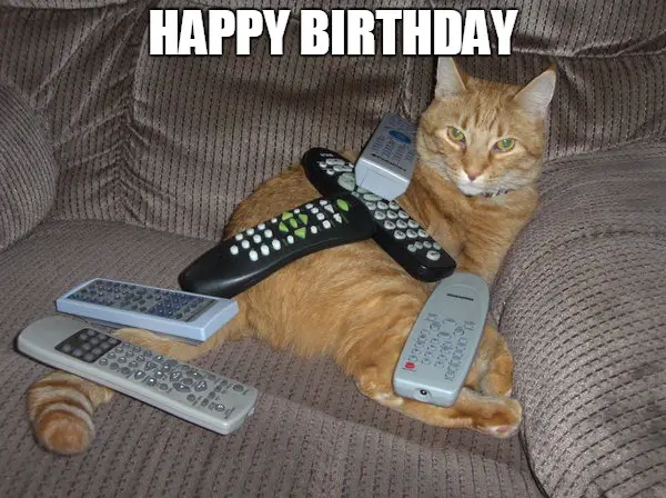 35 Happy Birthday Memes To Celebrate Your Favorite Coworker