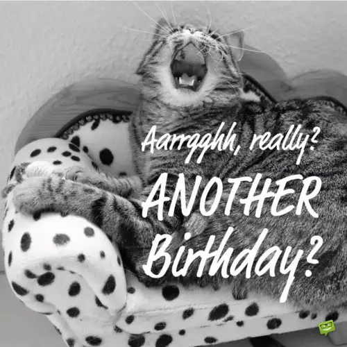 Aarrgghh, really? Another birthday? | Birthday Wishes Expert Aarrgghh, really? Another birthday?