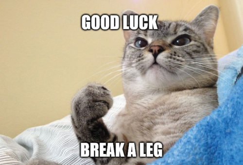 Good luck Success Cat Meme.