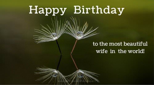 Happy Birthday to the most beautiful wife in the world!