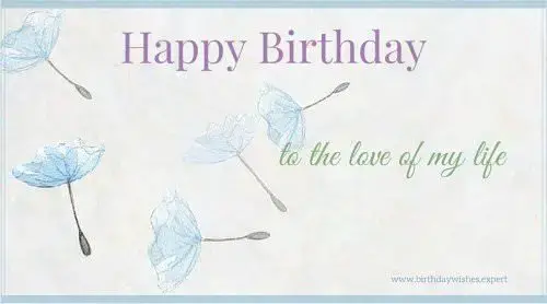 Happy Birthday to the love of my life.