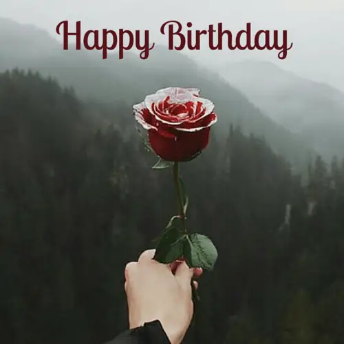 200 great happy birthday images for free download sharing classy happy birthday images