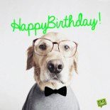 50 Great Birthday Messages for Your Boyfriend 50 Great Birthday Messages for Your Boyfriend