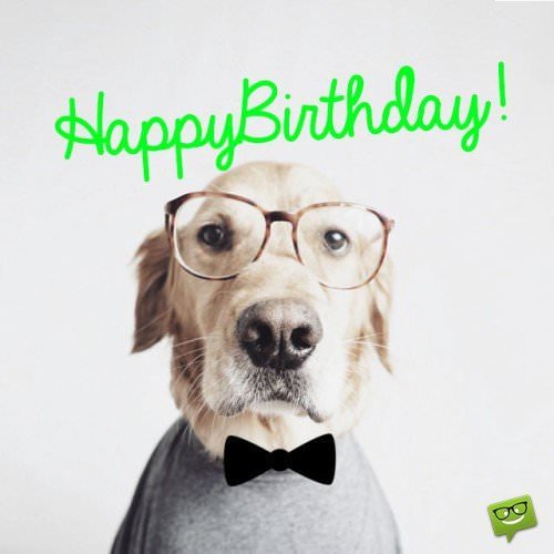 Happy Birthday Wish from an intellectual dog wearing glasses | Birthday Wishes Expert Happy Birthday!