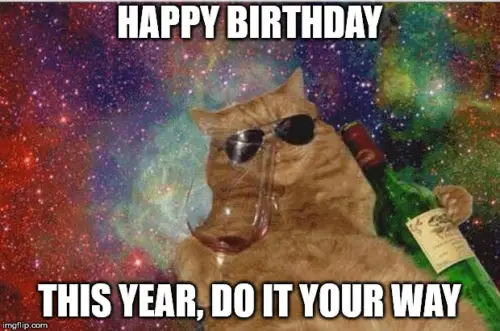 Funny Happy Birthday meme on image of drunk cat in sunglasses holding an empty wine bottle and a wine glass. | Birthday Wishes Expert Happy Birthday. This year, do it your way.
