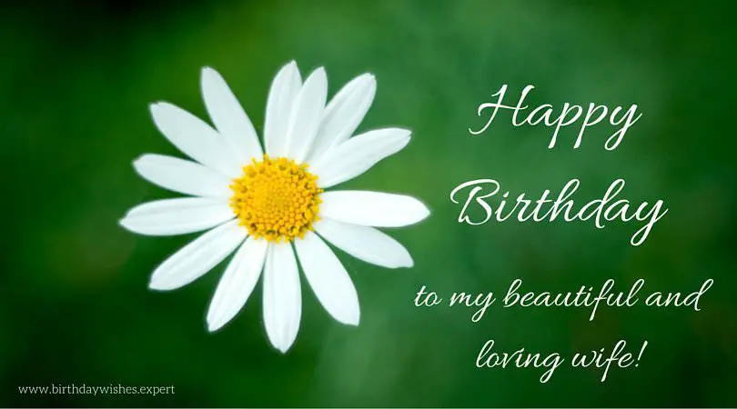 120 Birthday Wishes your Wife Would Appreciate 120 Birthday Wishes your Wife Would Appreciate