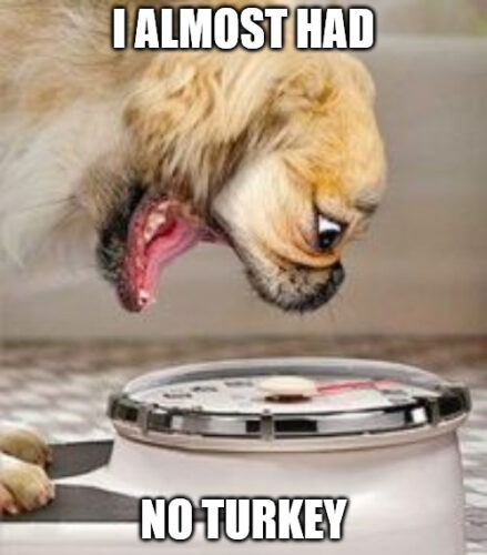 Funny After Thanksgiving Dog Scale Meme.
