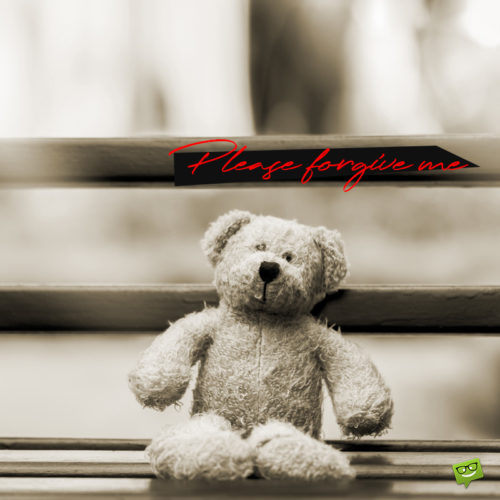 I'm sorry message on image with sad teddy bear.