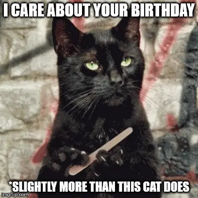 I care about your birthday. *slightly more than this cat does.