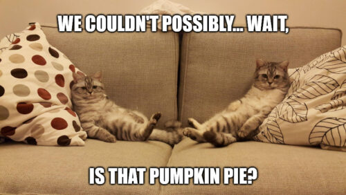 Funny Thanksgiving Cats on Sofa meme.