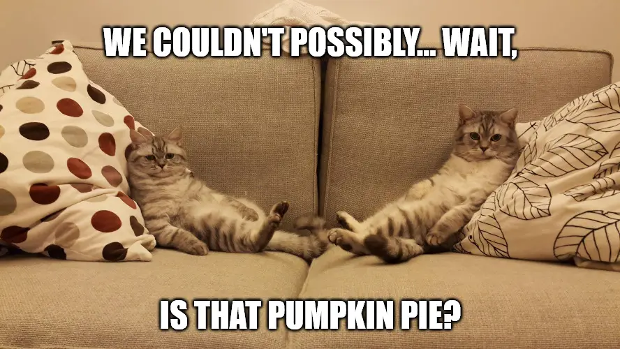 Funny Thanksgiving Cats on Sofa meme.