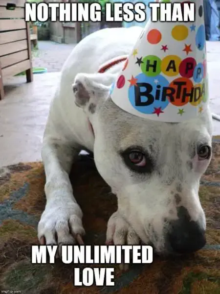 Nothing less than my unlimited love