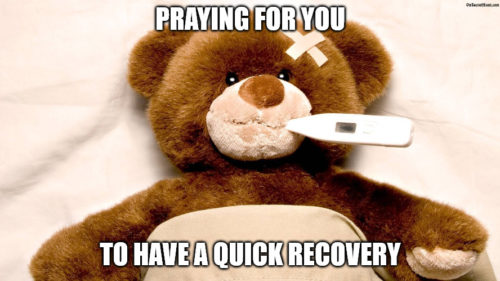 Sick Bear Get Well Soon meme.