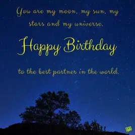 You are my moon, my sun, my stars and my universe. Happy Birthday to the best partner in the world.
