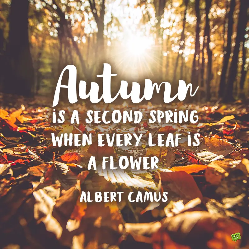 87 Autumn Quotes | What Does The Color of Leaves Say?