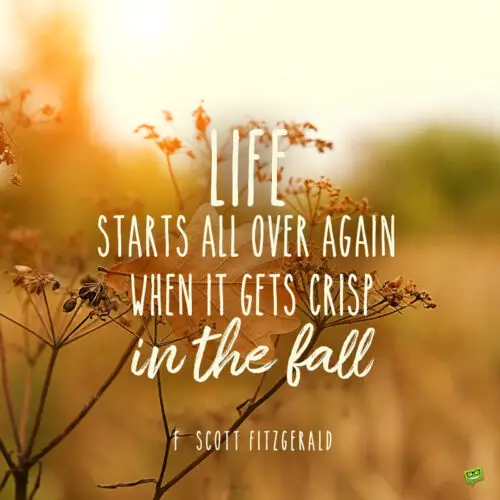 Autumn quote to inspire you.