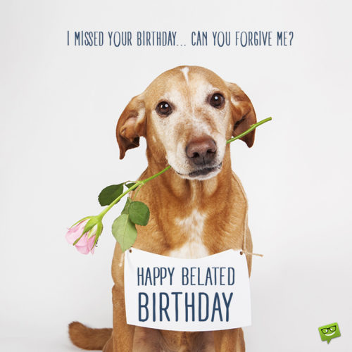 Forgive me, won’t you? Happy Belated Birthday! | Birthday Wishes Expert Cute belated birthday wish on image for use on chats, messages, mails and social media.