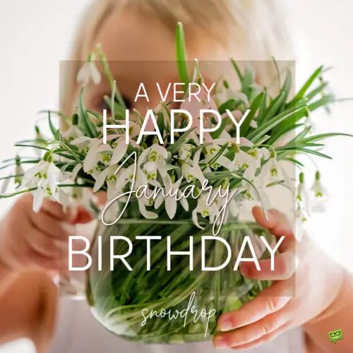 Birthday wish on image with snowdrop flowers for those born in January.