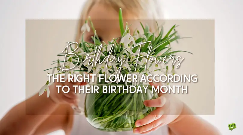 Birthday Flowers | The Right Flower According to their Birthday Month