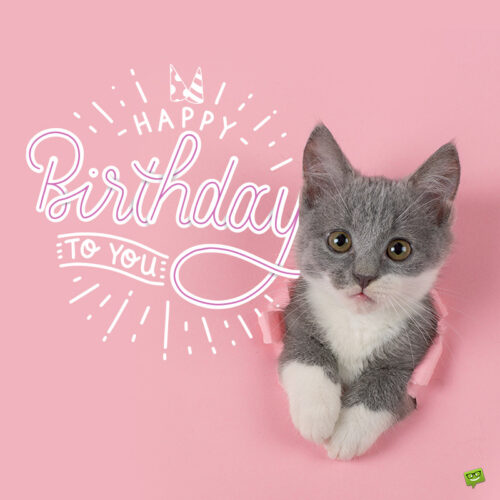 birthday-message-11 | Birthday Wishes Expert Cute birthday image to share with a loved one.