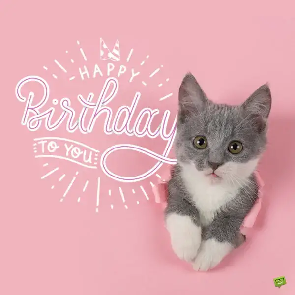 Cute birthday image to share with a loved one.