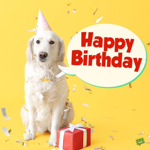 Birthday image with dog.