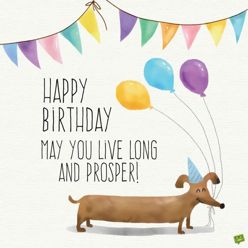 205 Funny Birthday Wishes Quotes for Best Friend - Unifury