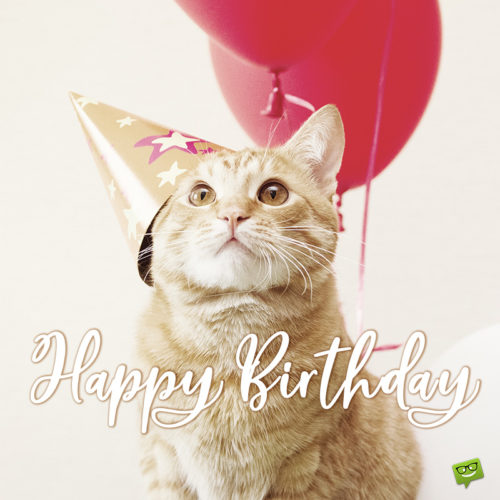 Happy Birthday wish on image with cute cat wearing birthday hat and holding red balloons. | Birthday Wishes Expert Cute birthday wish on image with cat for wishing on social media, emails and chats.