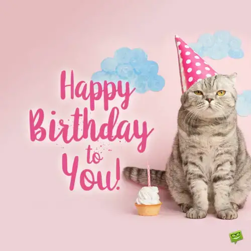 Happy birthday image for friend who loves cats.