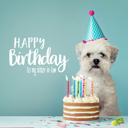 Cute birthday image for sister-in-law. With dog wearing a birthday hat and standing behind a birthday cake. | Birthday Wishes Expert Cute birthday image for wishing to sister-in-law.