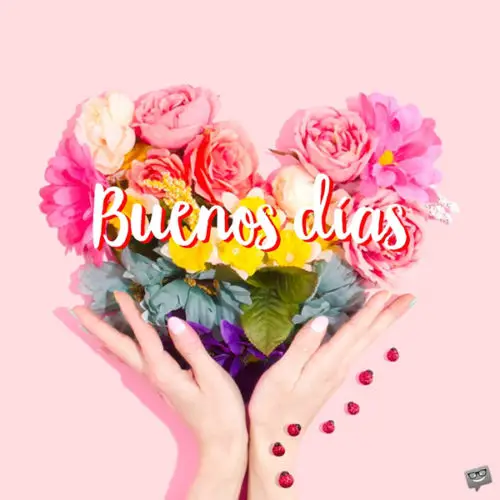 Good morning image with flowers and a greeting in Spanish