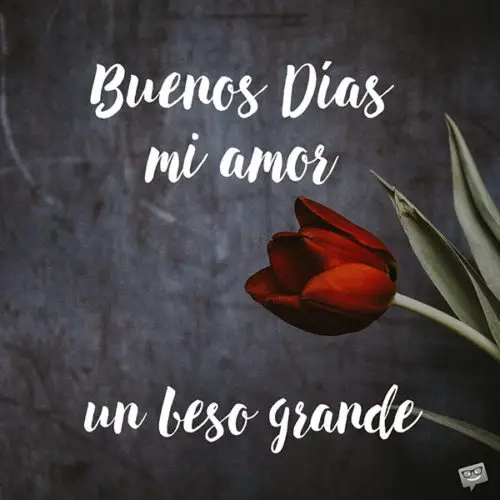 Buenos días, mi amor. Un beso grande.