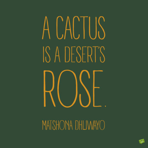 Beautiful cactus quote to note and share.