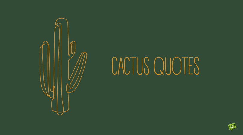 Cactus Ropes Quotes 36 Cactus Quotes About the Flowers of the Desert