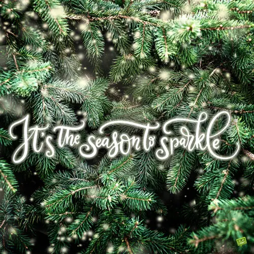 Photo caption for Christmas tree posts. Christmas Tree Quotes.