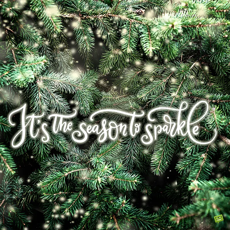 Best 25 Christmas Tree Quotes and Captions for Instagram Best 25 Christmas Tree Quotes and Captions for Instagram