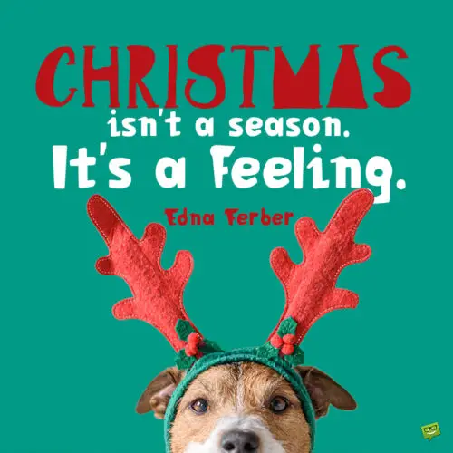 Cute Christmas quote to inspire the season's feeling.