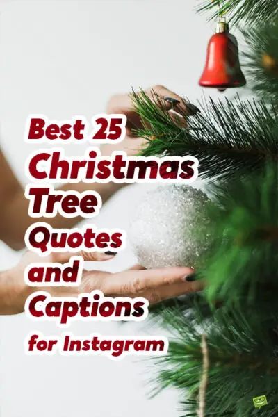 Best 25 Christmas Tree Quotes and Captions for Instagram