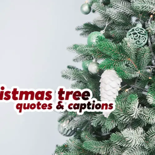 Christmas Tree Quotes and Captions