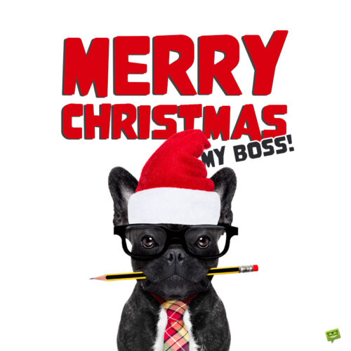 Very funny Christmas image with a wish for boss.