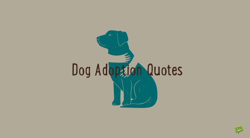 80+ Dog Adoption and Rescue Dog Quotes You Can Use as Photo Captions Too