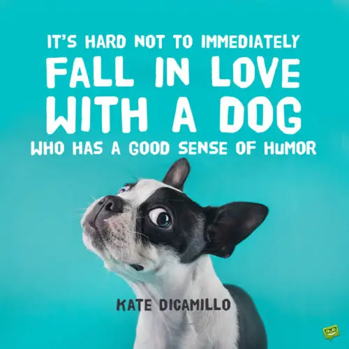 Dog quote to note and share.