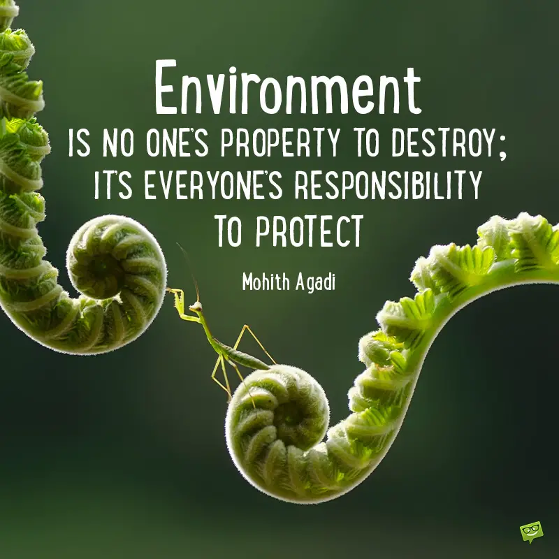 70 Quotes About Protecting The Environment A Home To Save